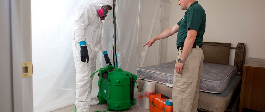 Los Angeles, CA mold removal process